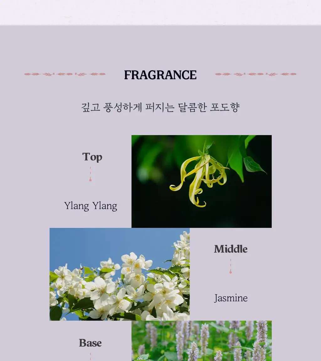 [달콤보습] 스킨푸드 포도씨 오일 바디 워시 450ml 상세페이지 6